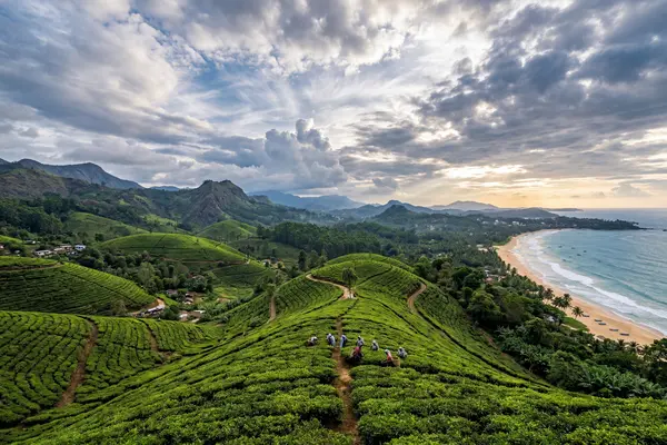 Panoramic view of Sri Lanka landscape with lush green hills and golden beach in the distance