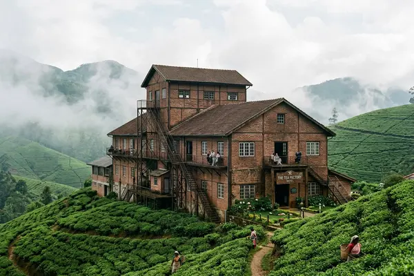 Heritance Tea Factory