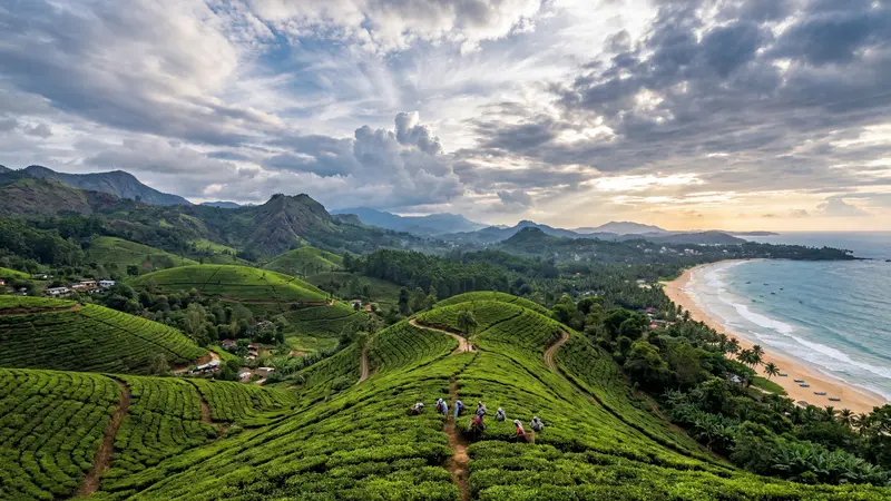 Panoramic view of Sri Lanka landscape with lush green hills and golden beach in the distance