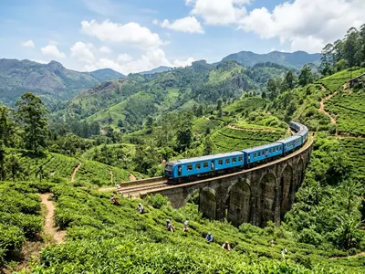 Sri Lankan blue train crossing a bridge through tea plantations