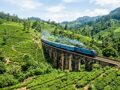 Blue train crossing the Nine Arches Bridge in Ella surrounded by tea plantations