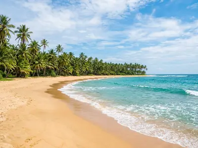 Tangalle golden beach with palm trees and turquoise water