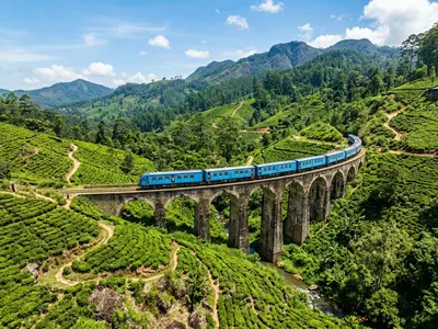 Blue train crossing Nine Arches Bridge in Ella surrounded by tea plantations