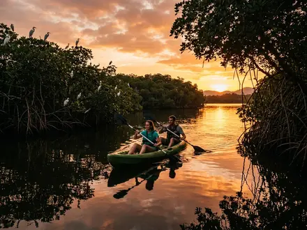 Mangrove Kayaking at Sunset
