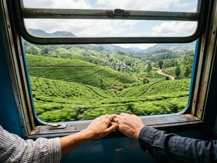 Scenic Train Through Tea Country