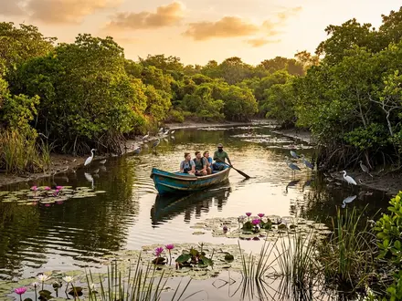Pottuvil Lagoon Safari