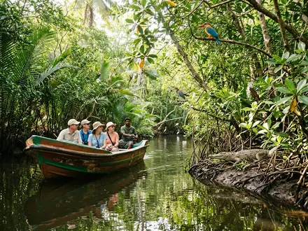 Bentota River Safari