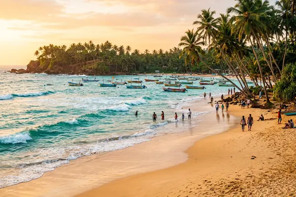 Mirissa beach at golden hour with palm trees and turquoise water
