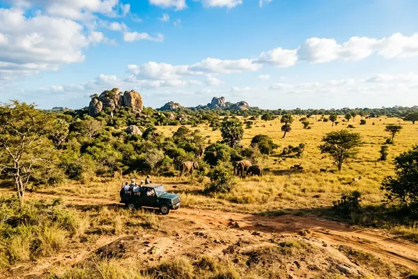 Yala National Park savanna landscape